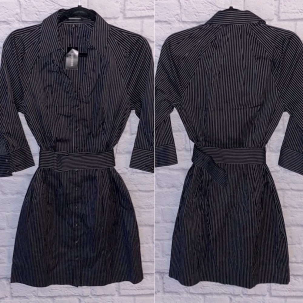 Express Pin Stripe Belted Collared Button Down Shirt Dress
